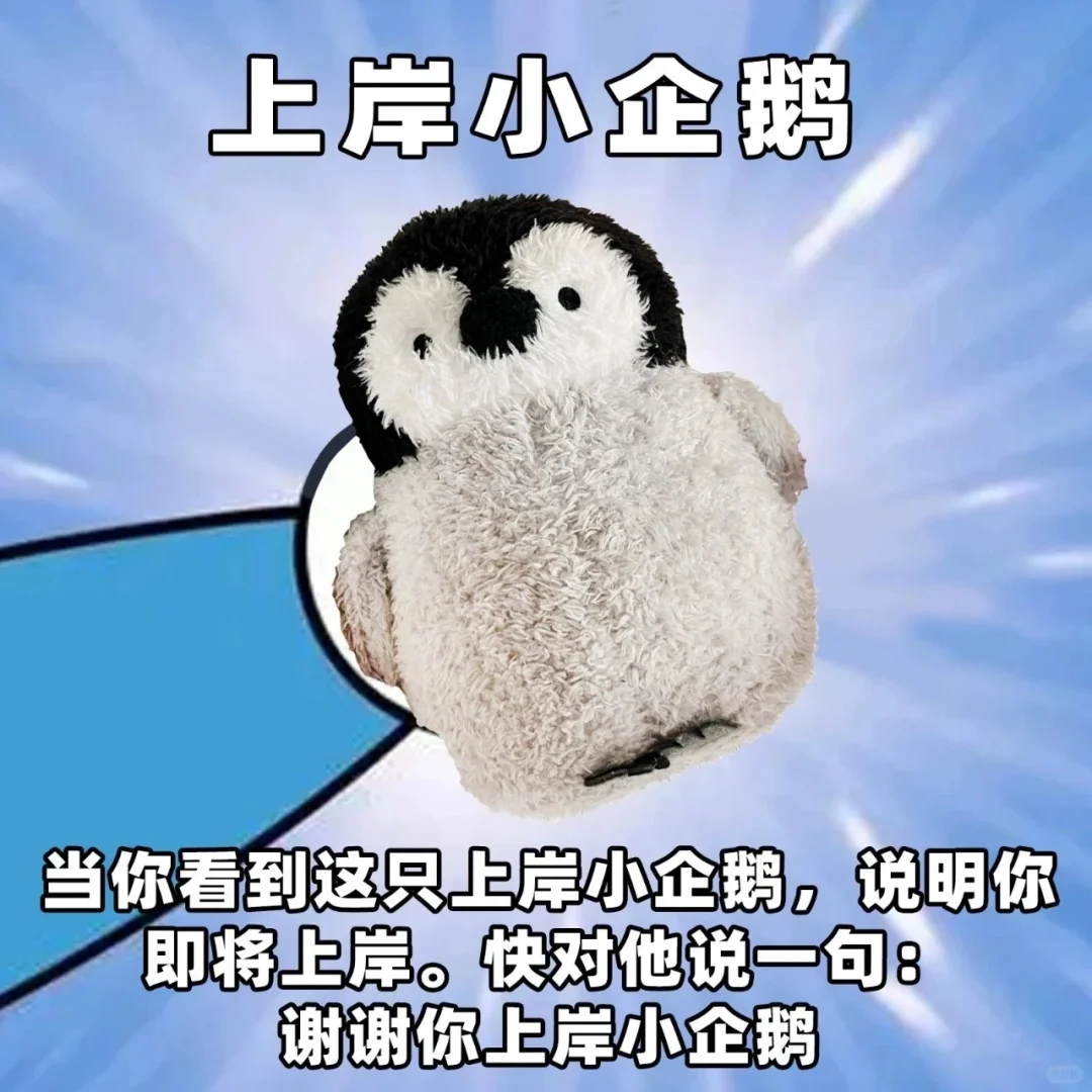 加油，中考生！祝我上岸🤘 第1张