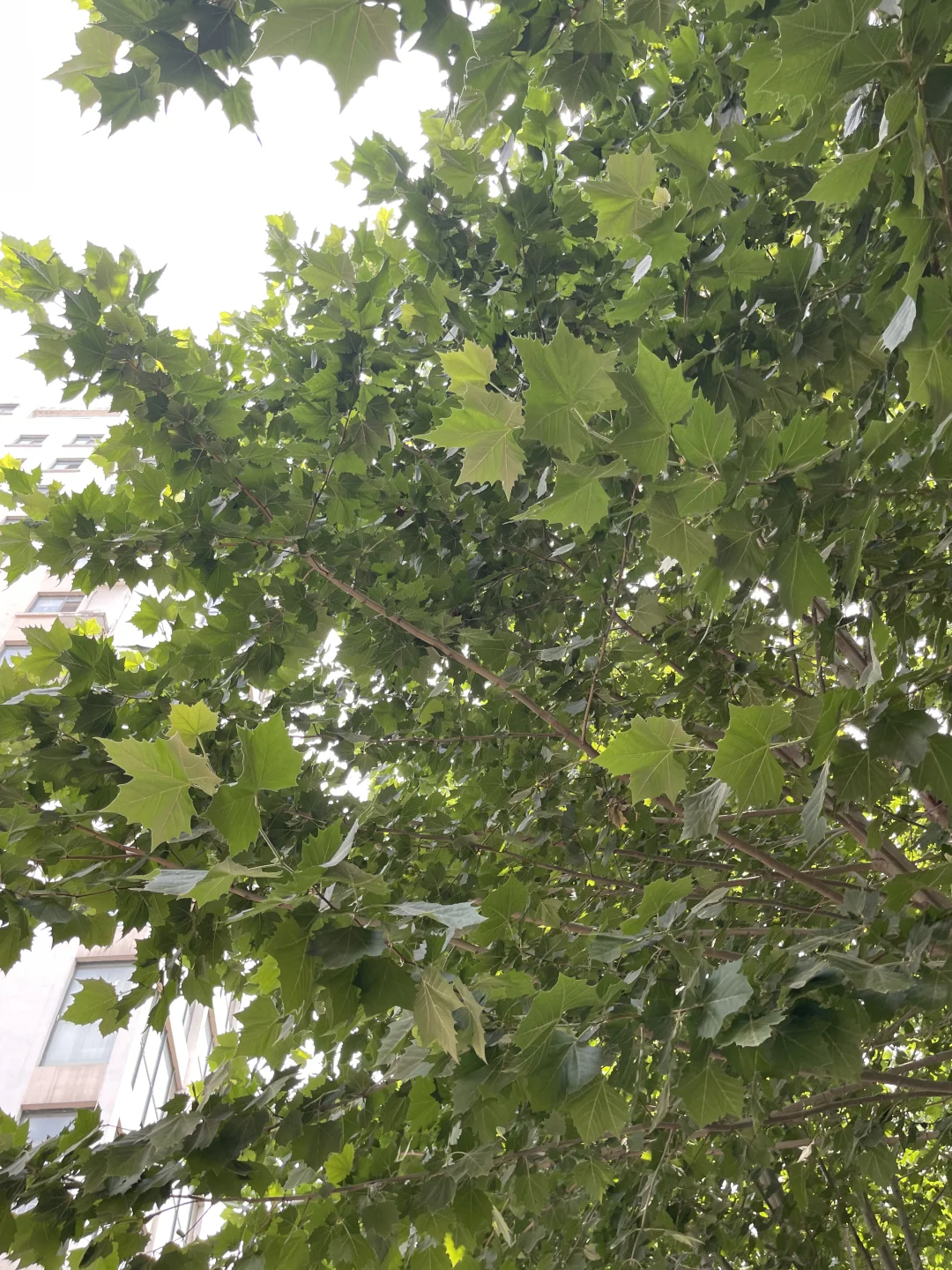 中考第一天 第2张