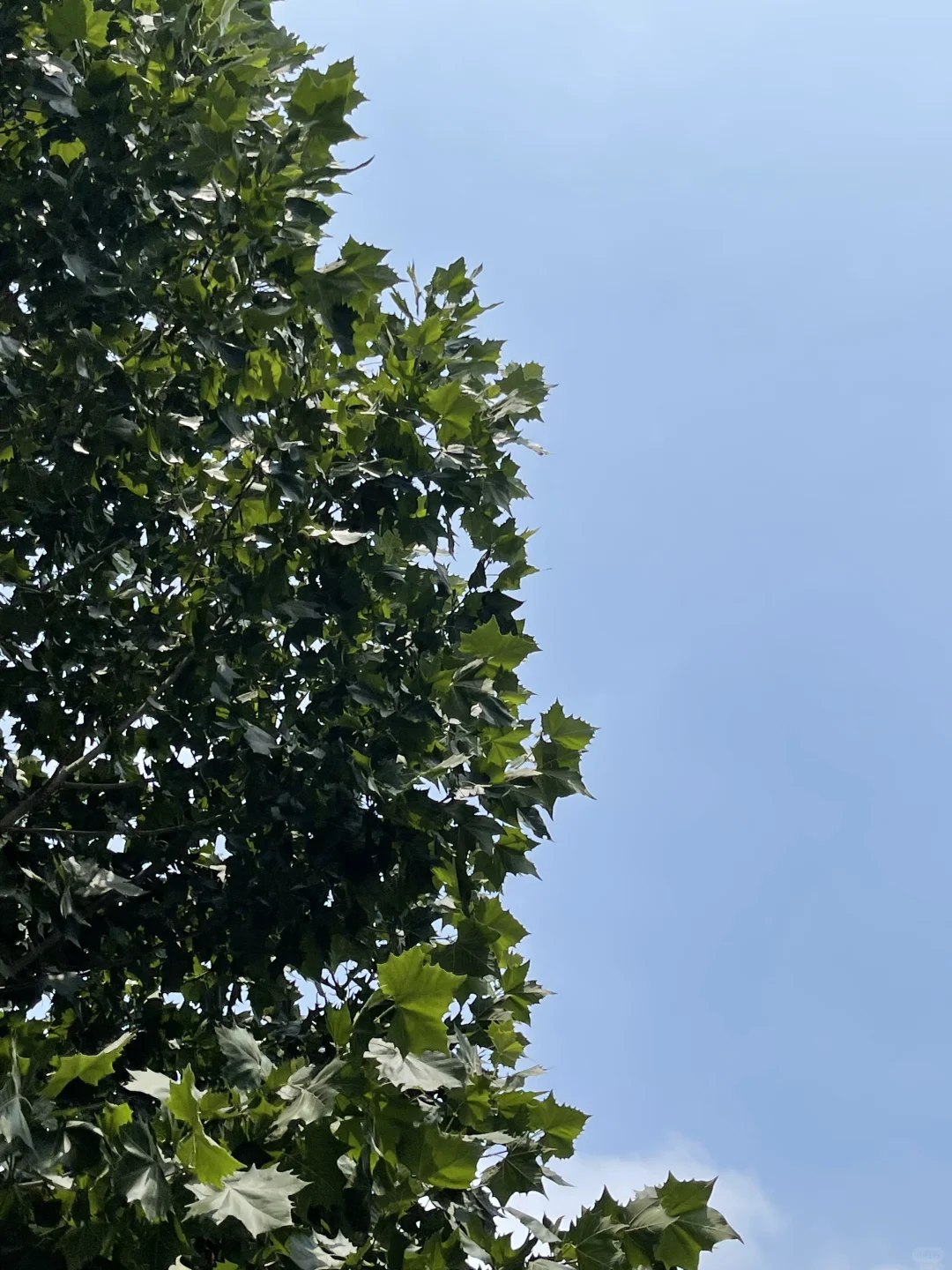 中考第一天 第7张