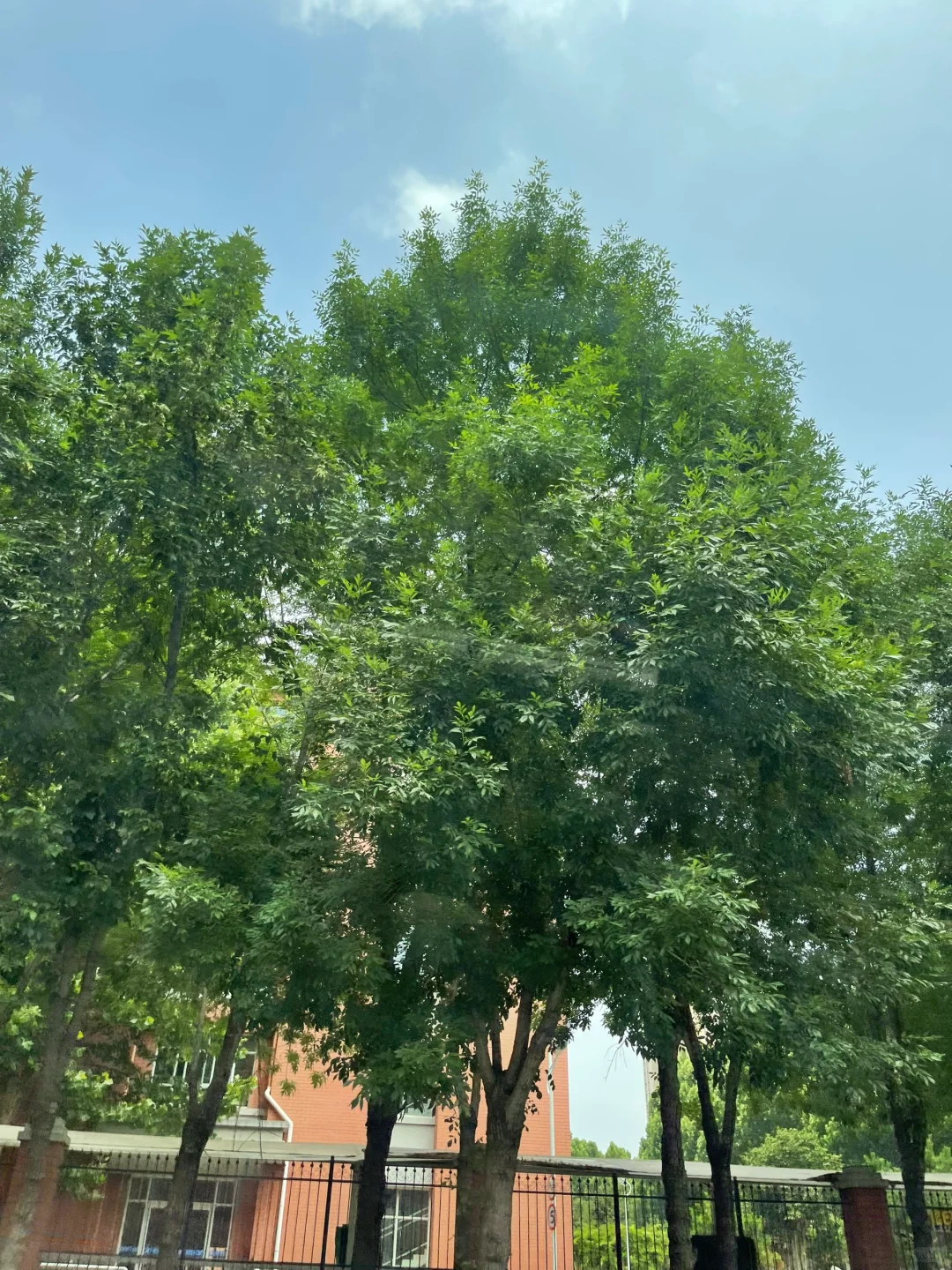 中考第一天 第3张