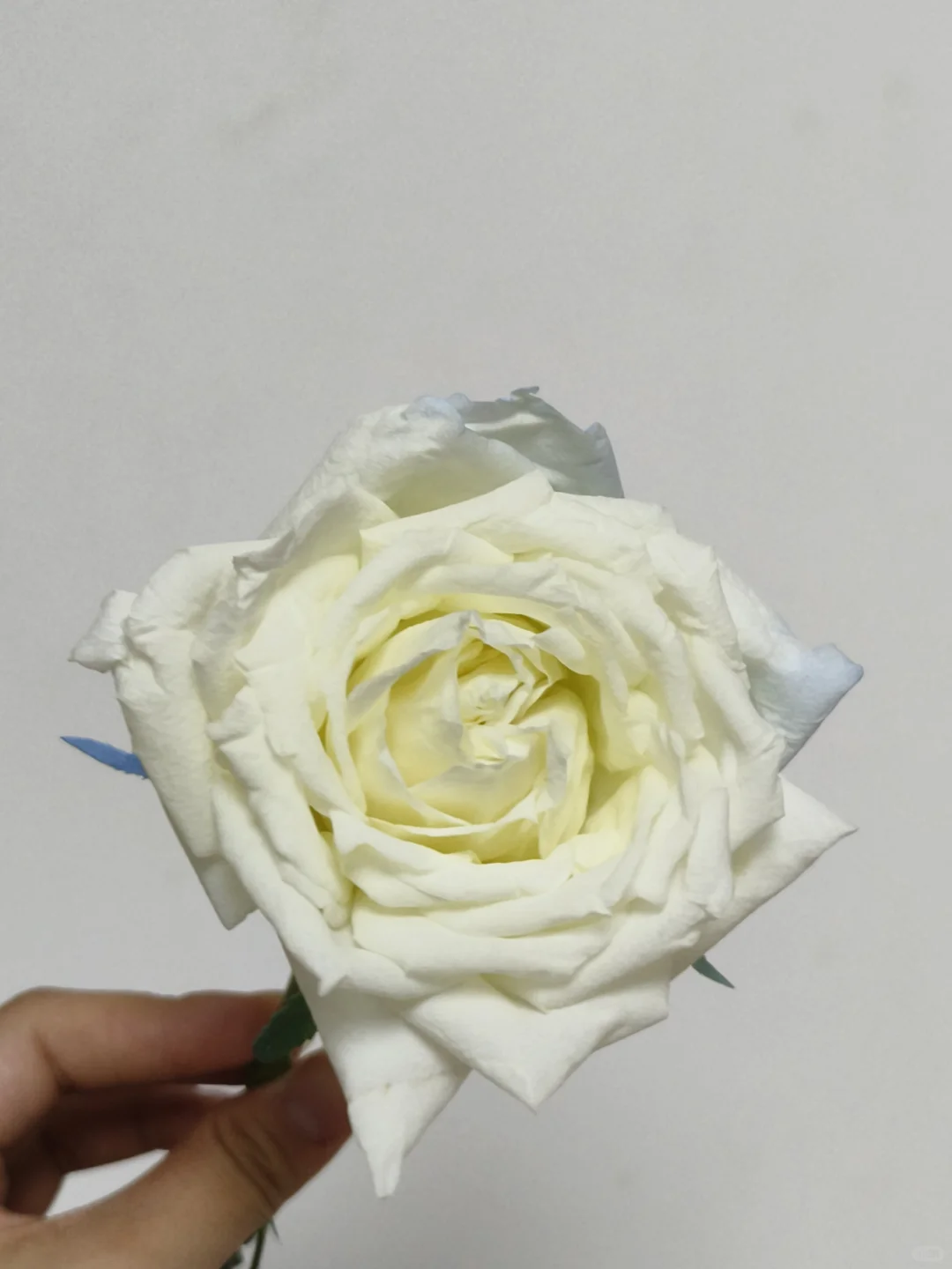 祝我们大家金榜题名 第1张