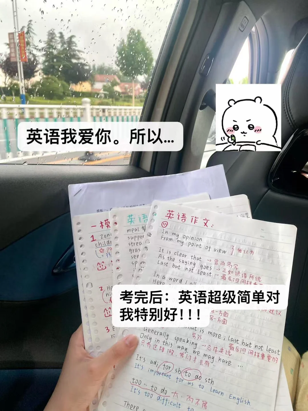 😼🔚｜中考顺利结束！ 第5张