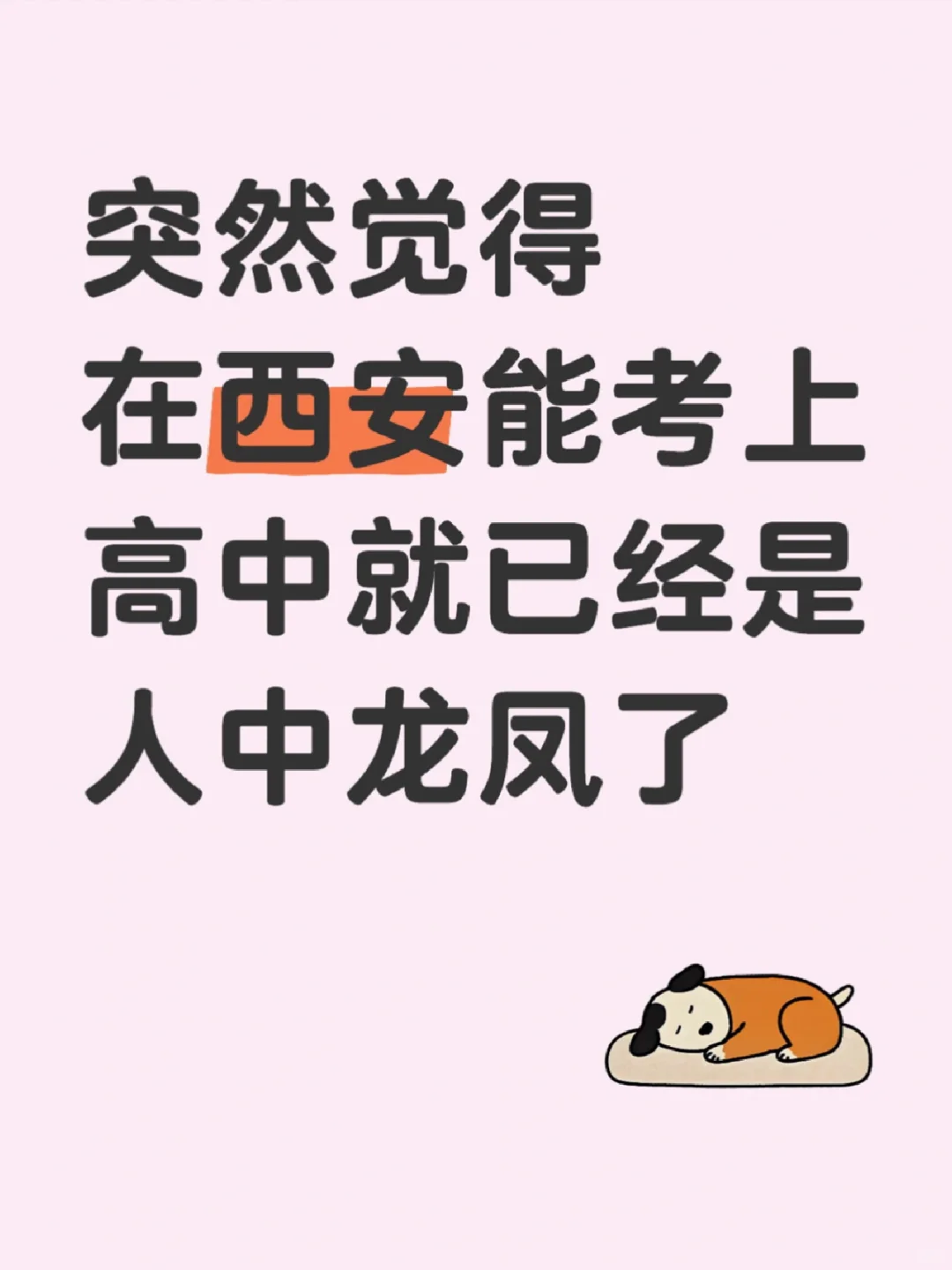 雁塔区老母亲深夜破防... 第1张