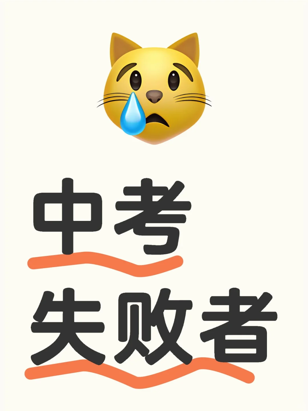 中考失败者 第1张