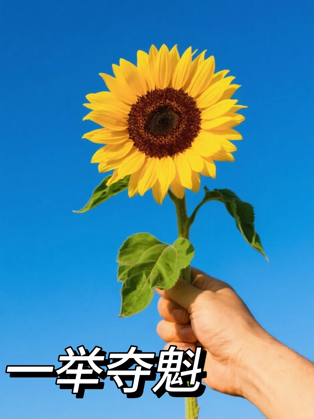 中考加油！㊗️考生：考神附体、成功上岸 第1张