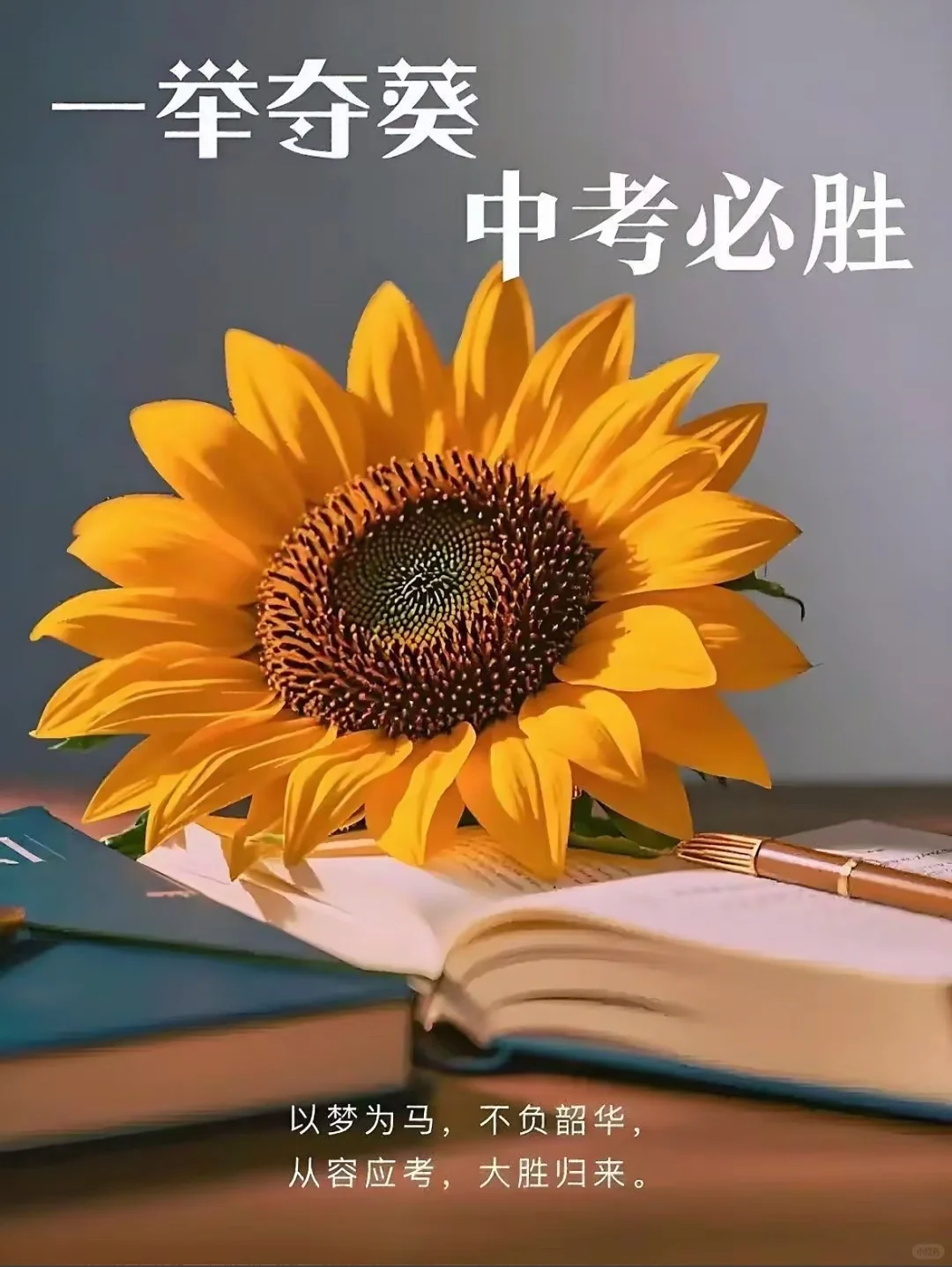 2025中考学子一举夺魁 第1张