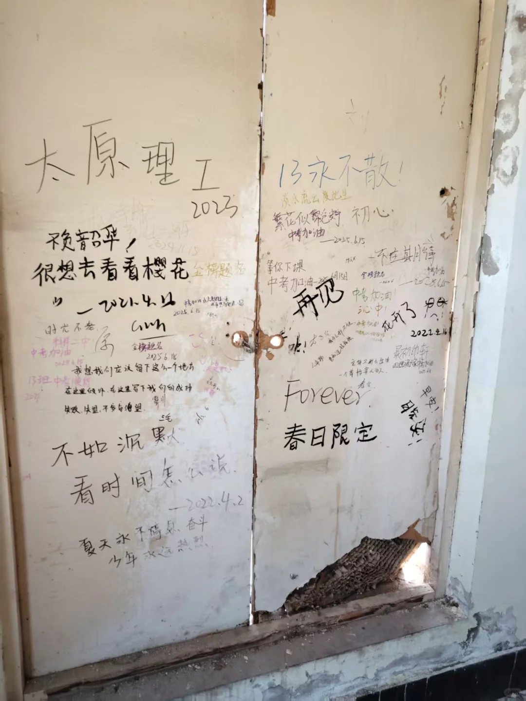 宝宝萌 后天我去中考啦 第2张