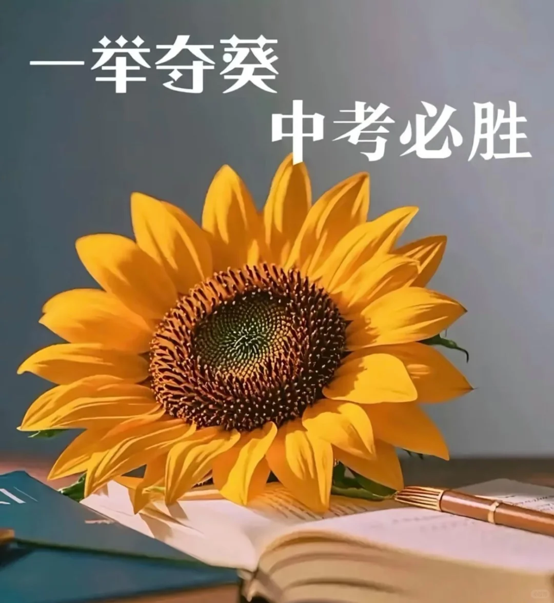 以梦为马，不负韶华，愿你中考创佳绩 第3张