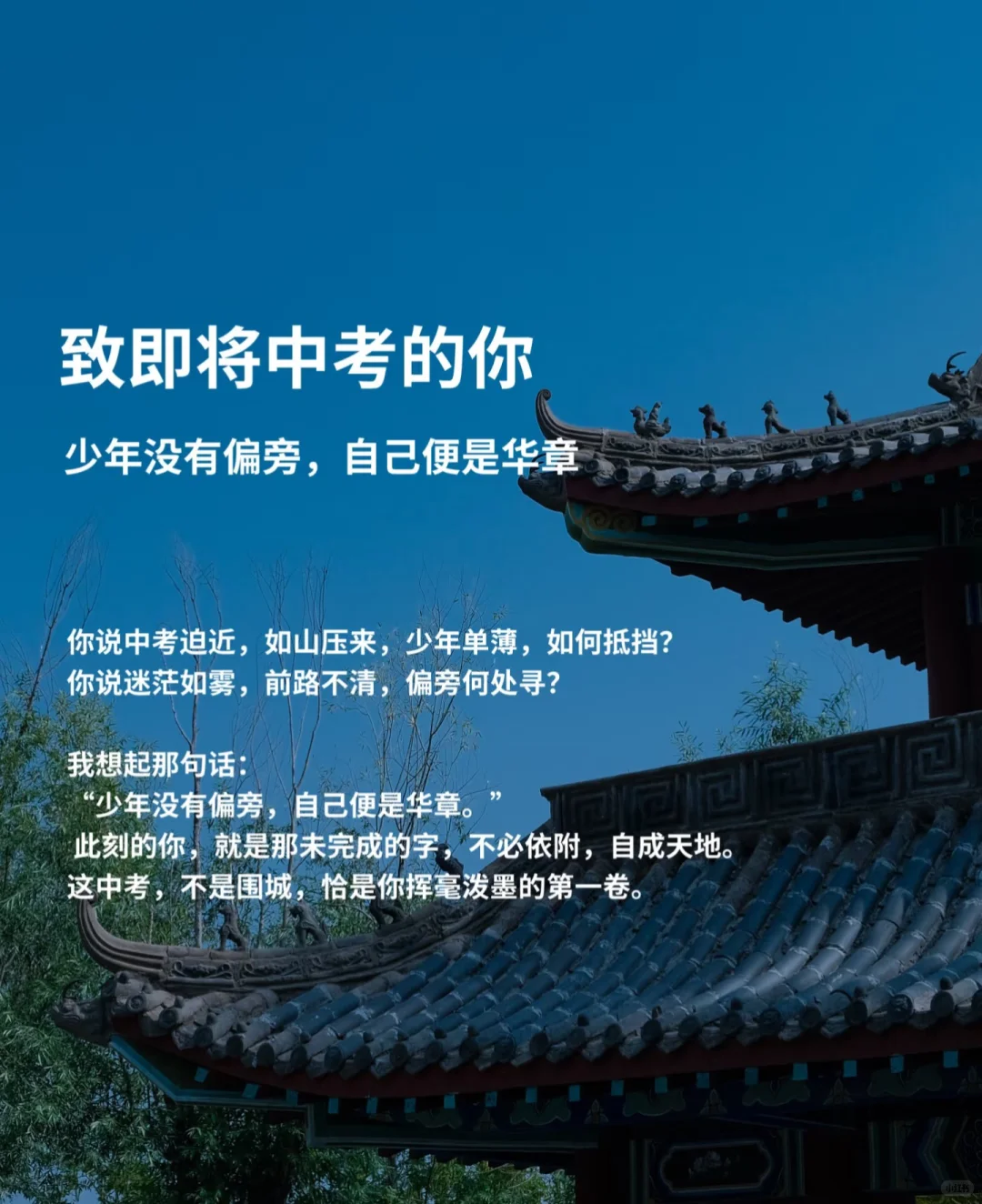 至即将中考的你 第1张