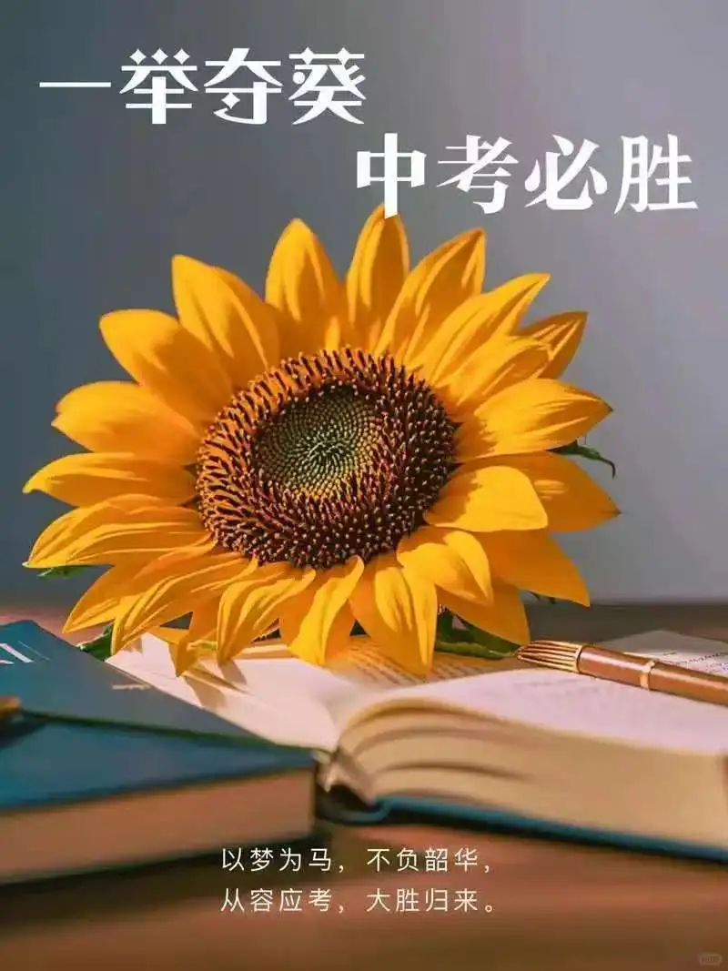 中考加油！一举夺葵花！ 第2张