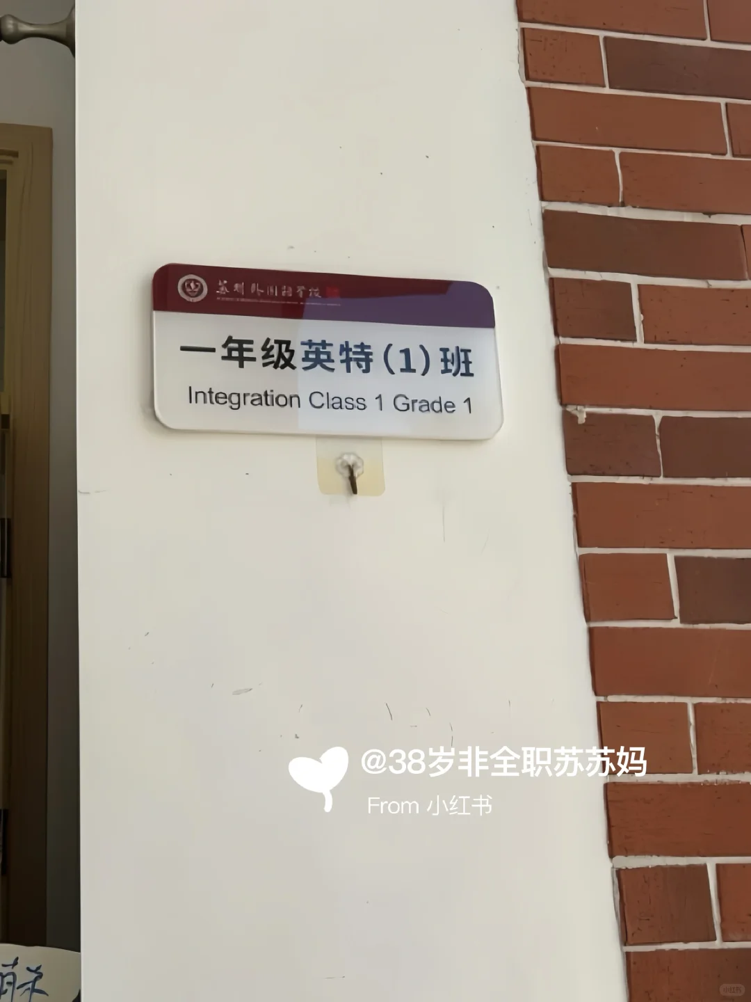 中考失利，从体制内转轨到苏外，我收获了….. 第1张
