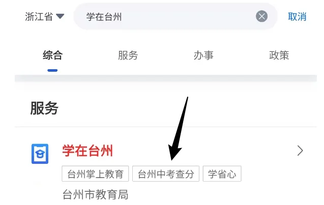 2025浙江中考查分系统 第4张