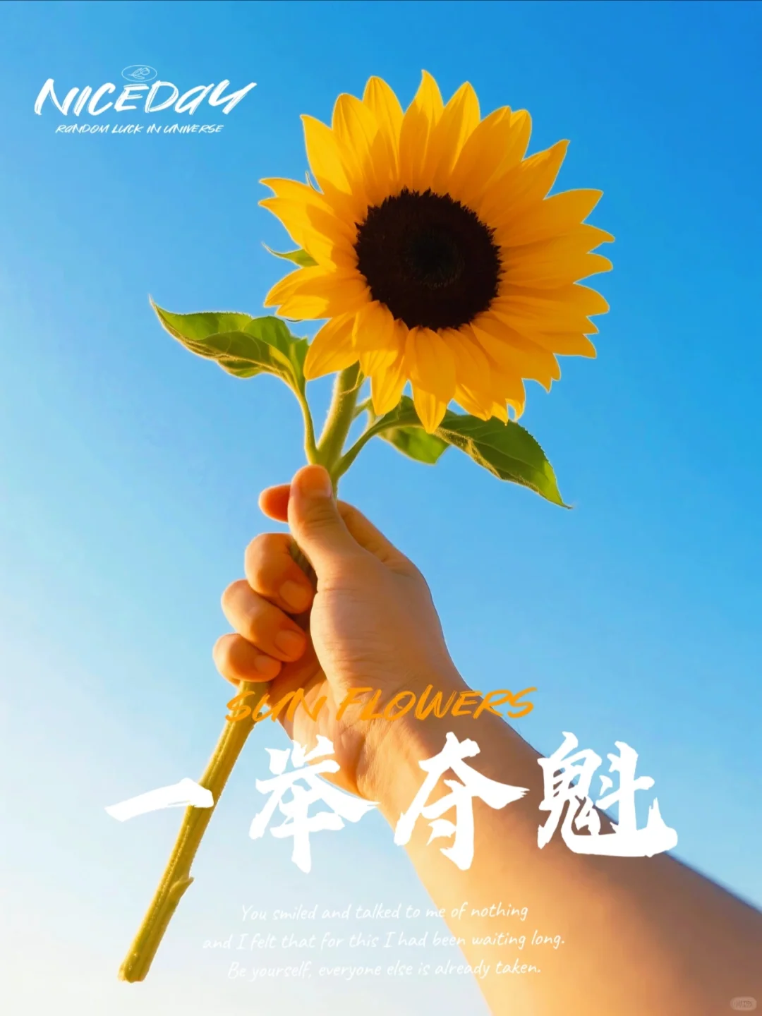 适合发朋友圈的中考文案🌻 第1张