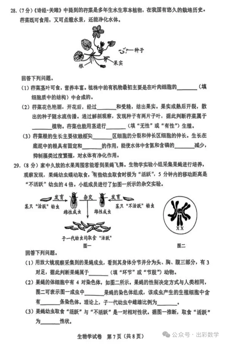 2025河北中考生物试卷（附答案） 第8张