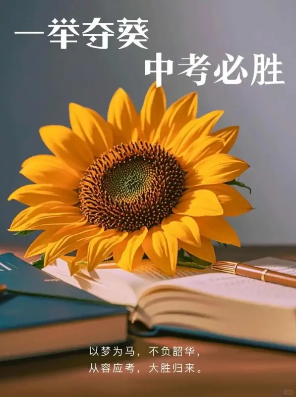 2025年河北中考出分时间 第1张
