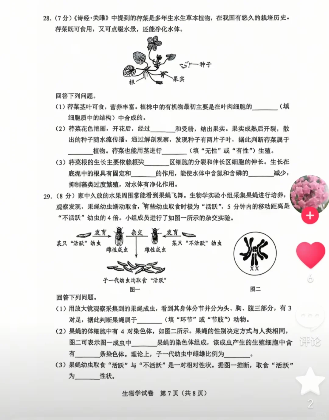 2025河北生物中考卷子 第8张