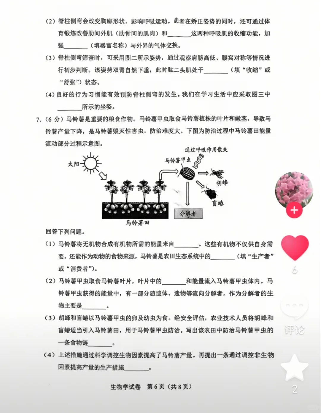 2025河北生物中考卷子 第7张