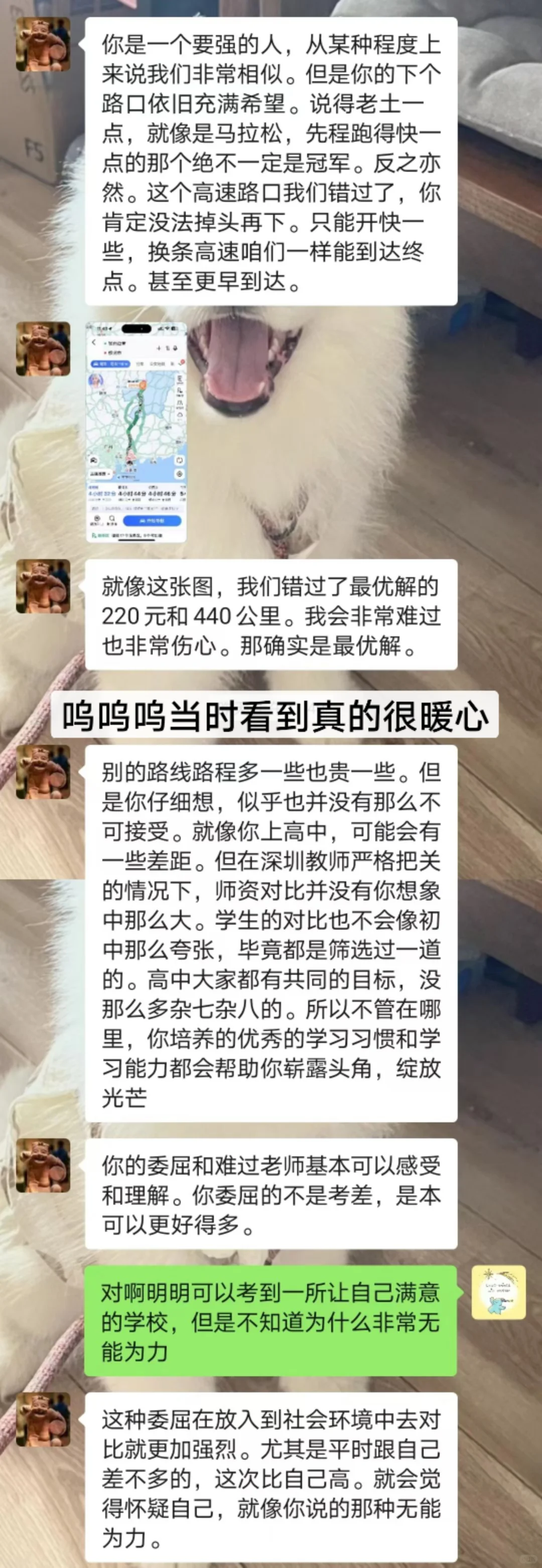 谨以此篇献给深圳中考失利的同学 第5张