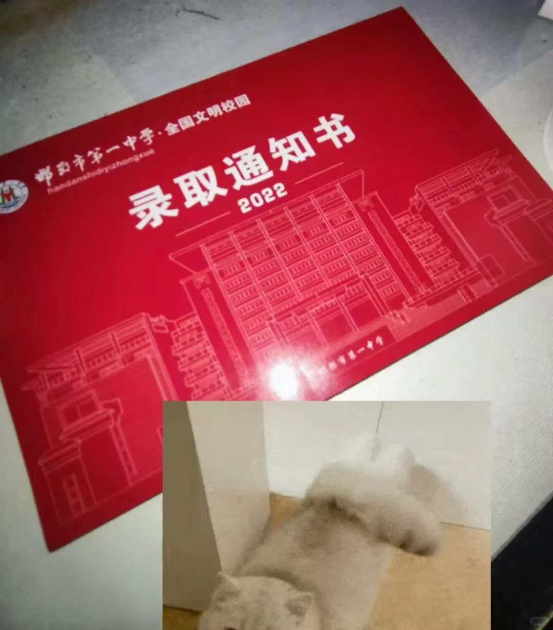 邯郸中考出录取结果了 第1张
