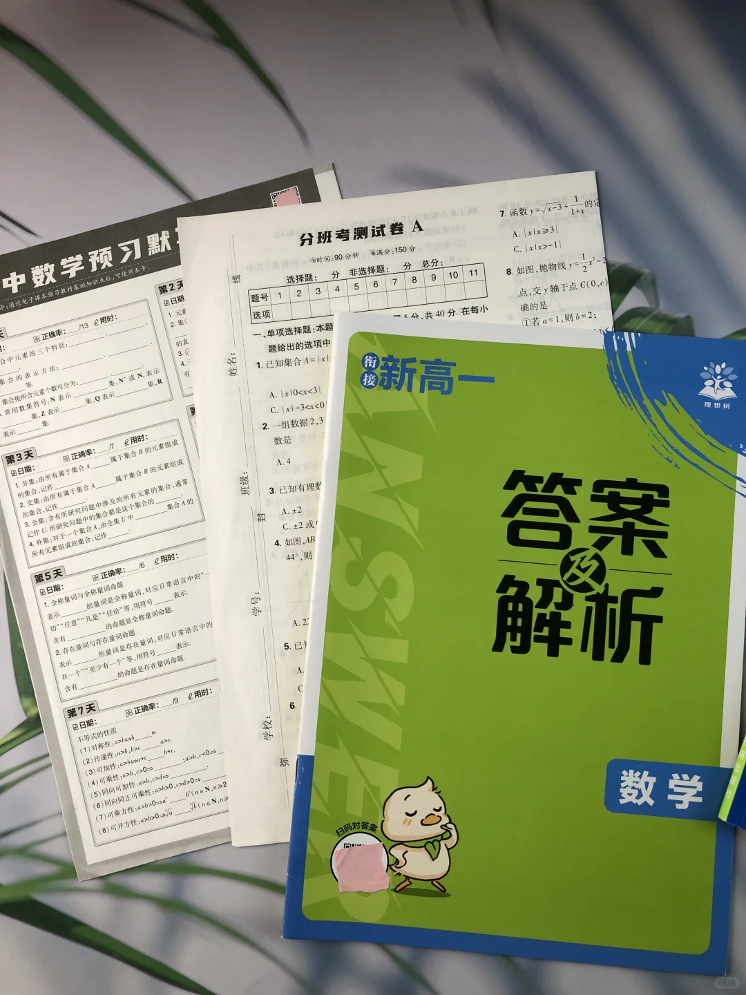 中考后28天，衔接过渡高一数学 第15张