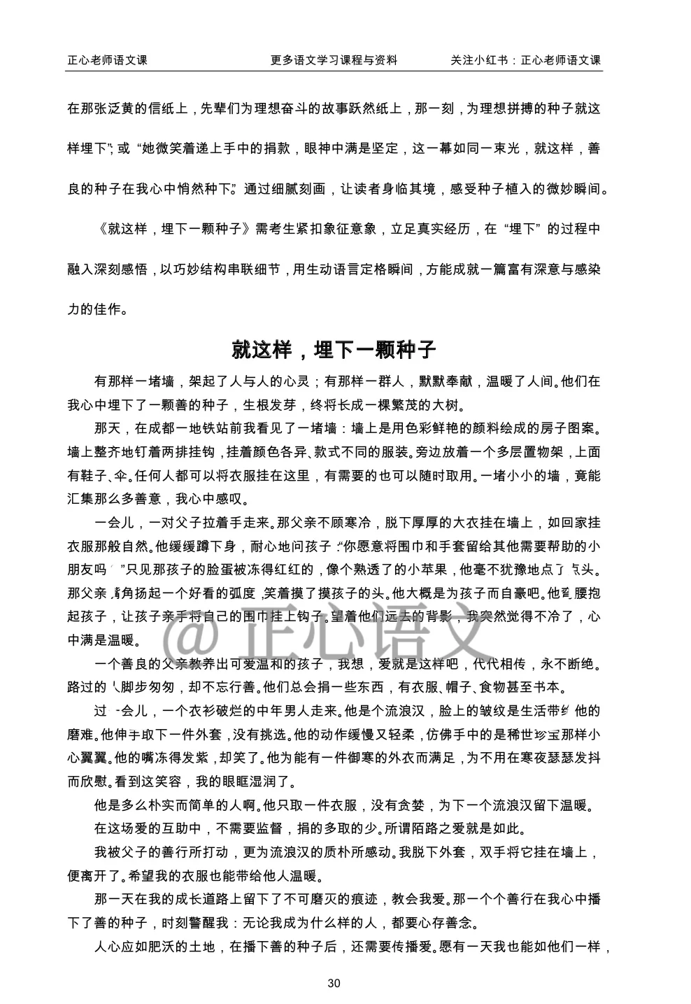 分享上海中考满分作文：就这样，埋下一颗种子 第2张