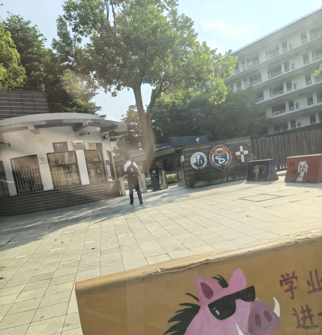 佛山前10🎉🎉，2025儿子的中考战绩 第4张