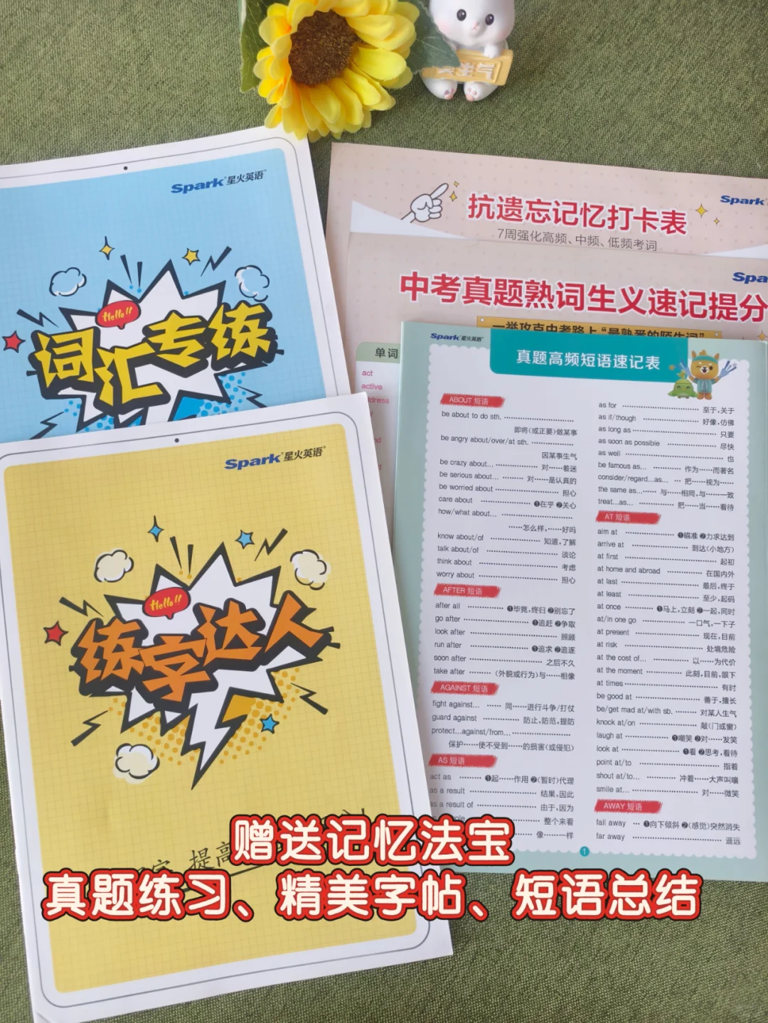 初中家长暑假必入的英语词汇神书✨ 第7张
