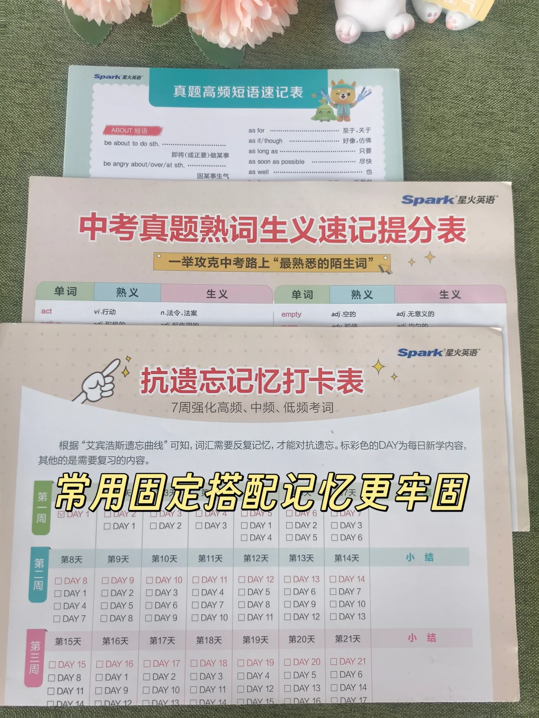 初中英语词汇逆袭！这本“考频词典”绝了 第1张