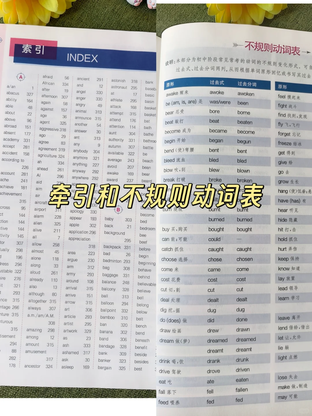 初中家长暑假必入的英语词汇神书✨ 第5张