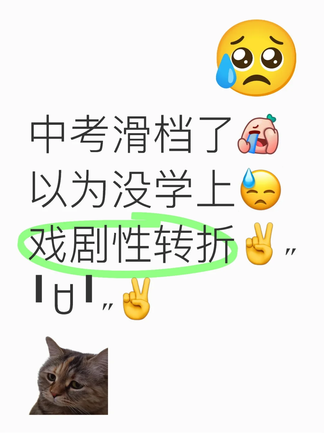 中考滑档了，没学上怎么办？ 第1张