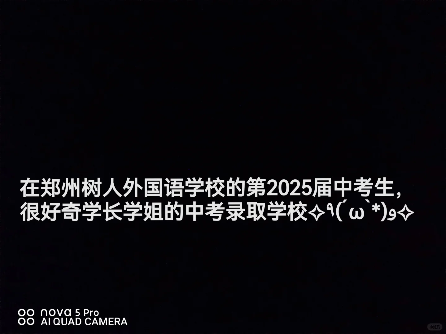 在树人外国语学校度过中考啦！ 第1张