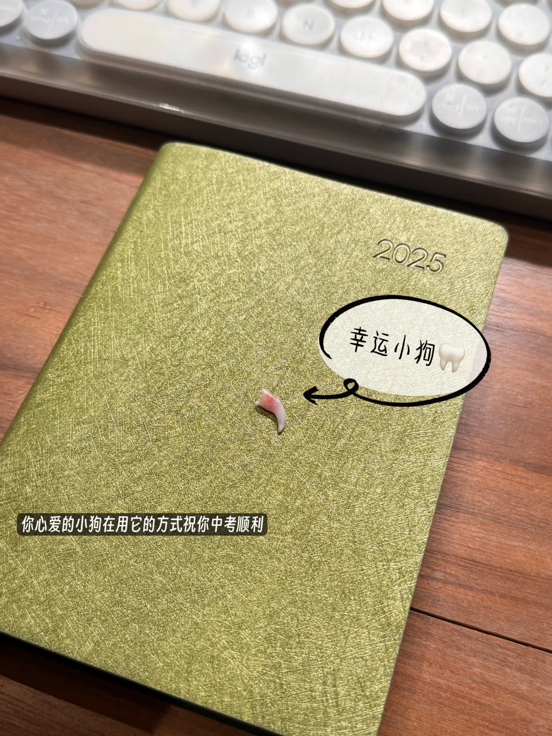 40+父母中考陪跑心声｜写给今天中考的儿子 第6张