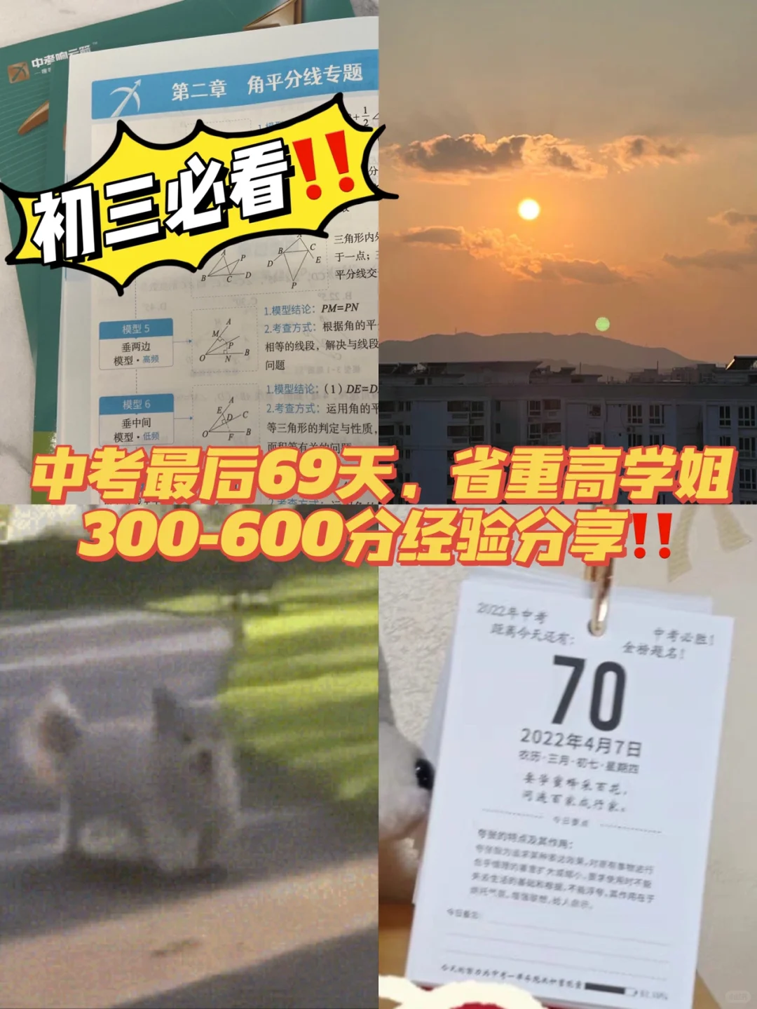 距中考69天，省重高学姐300-600分的经验分享 第1张