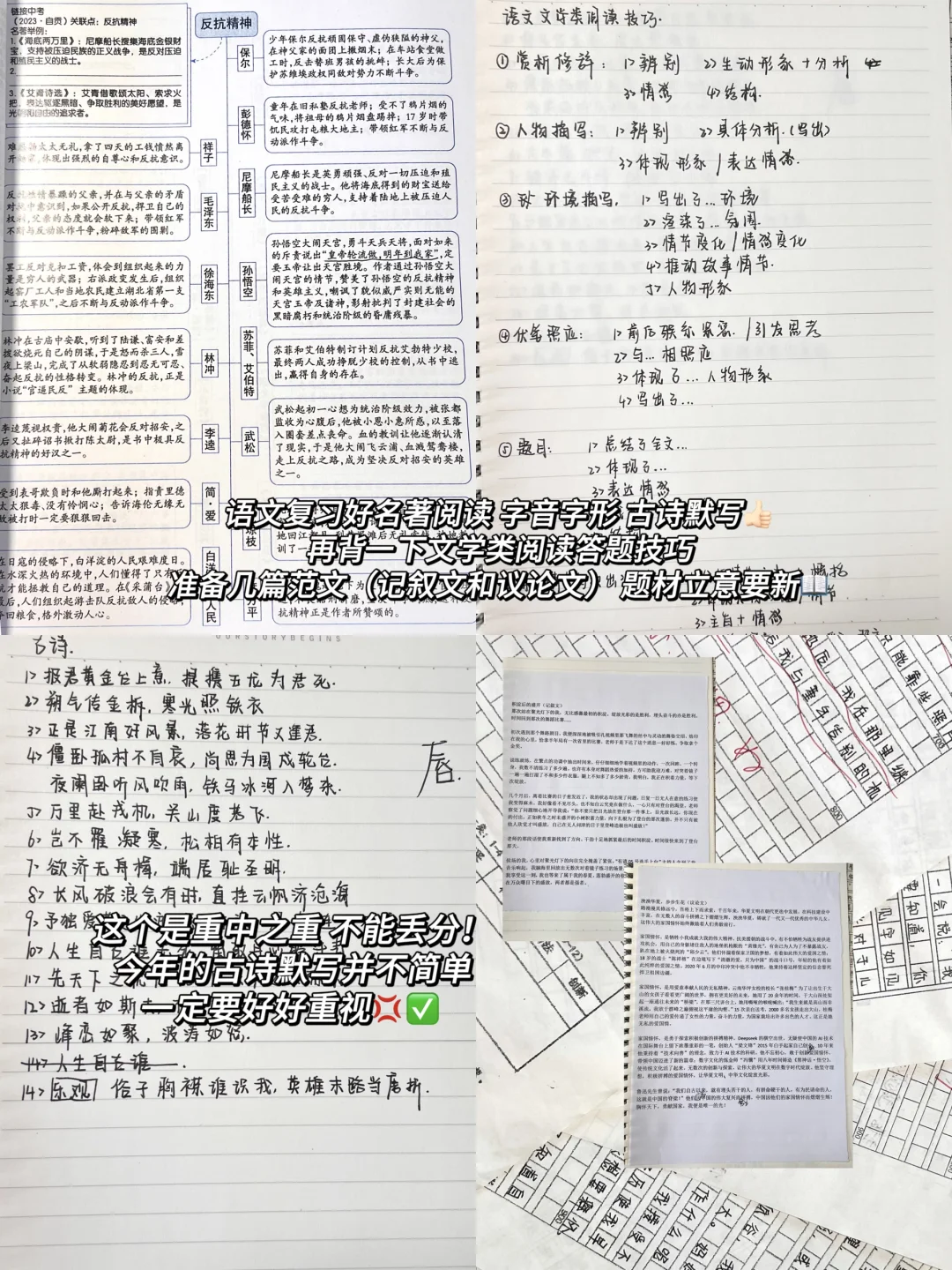 全市前155｜关于中考我想说 第2张