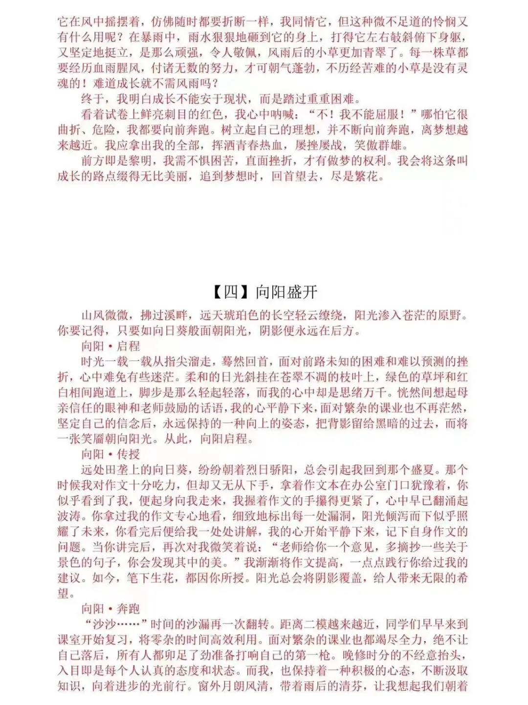 2025中考作文押题预测，5个主题命中率高 第16张