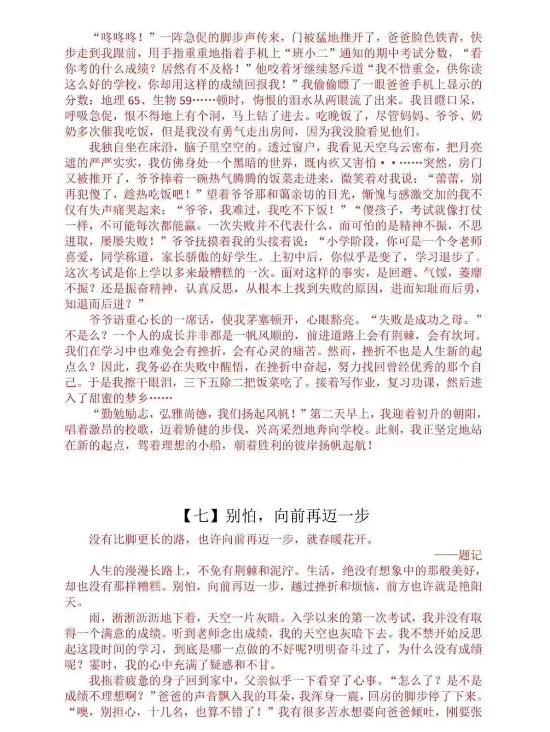 2025中考作文押题预测，5个主题命中率高 第18张