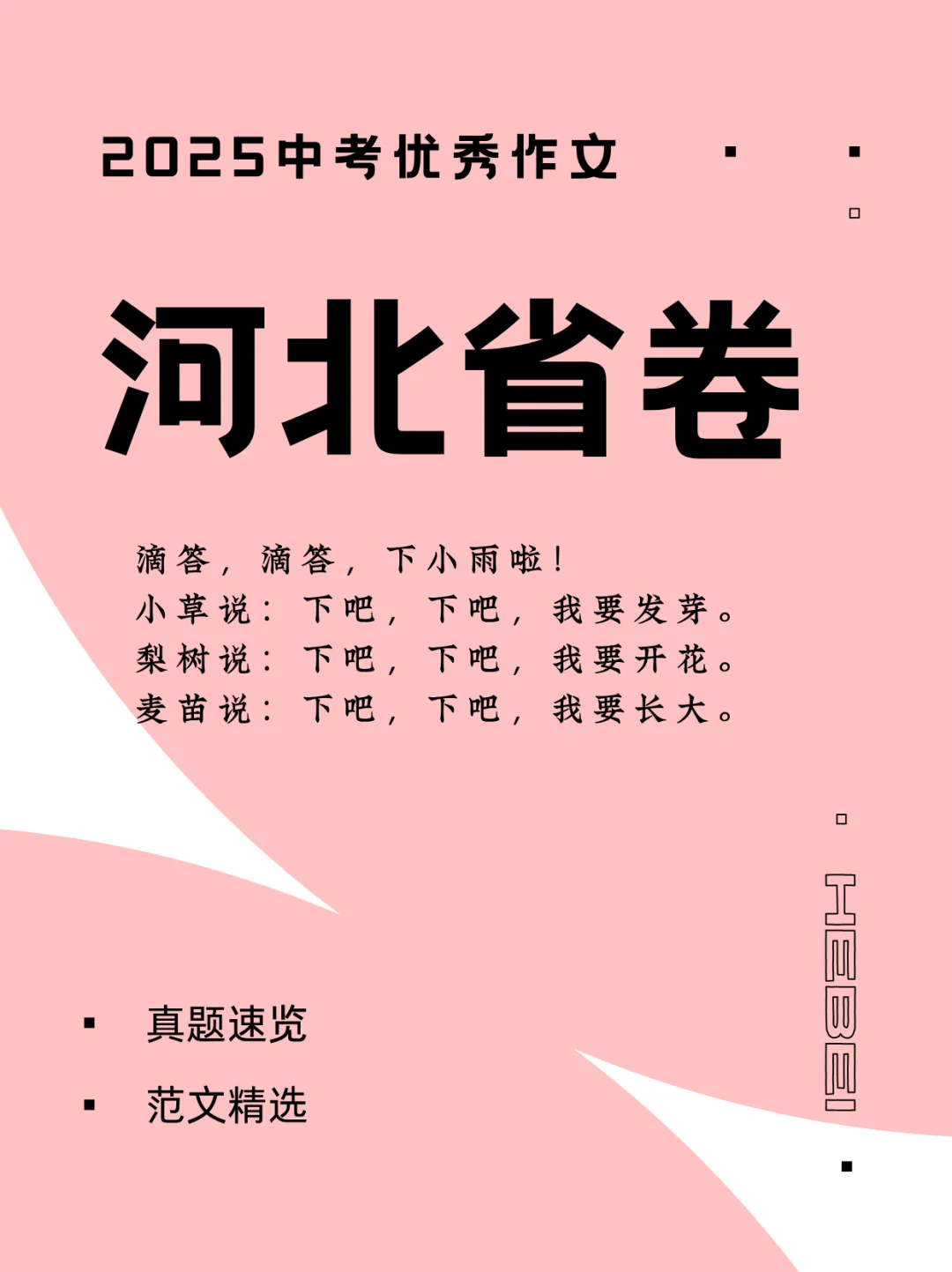 2025河北中考作文高分范本 第2张