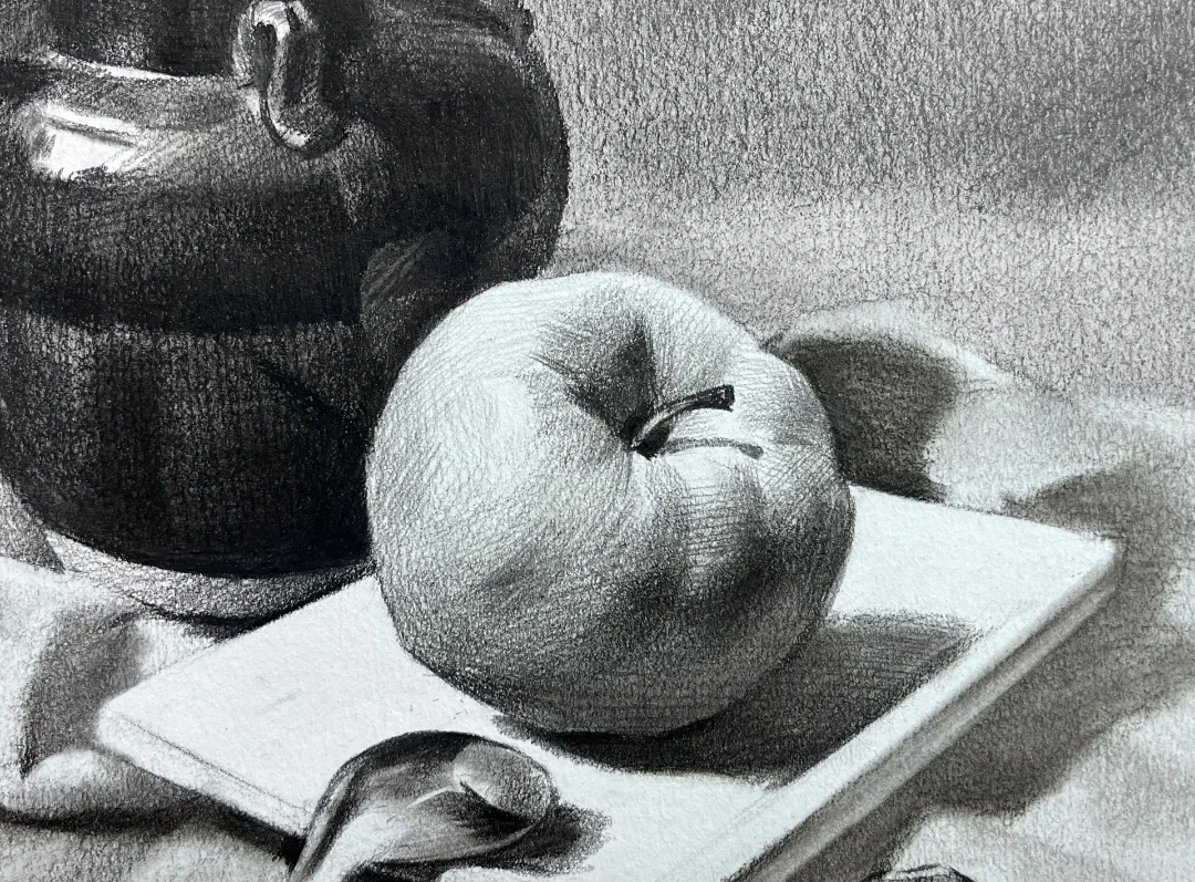 素描静物步骤图分享 第1张