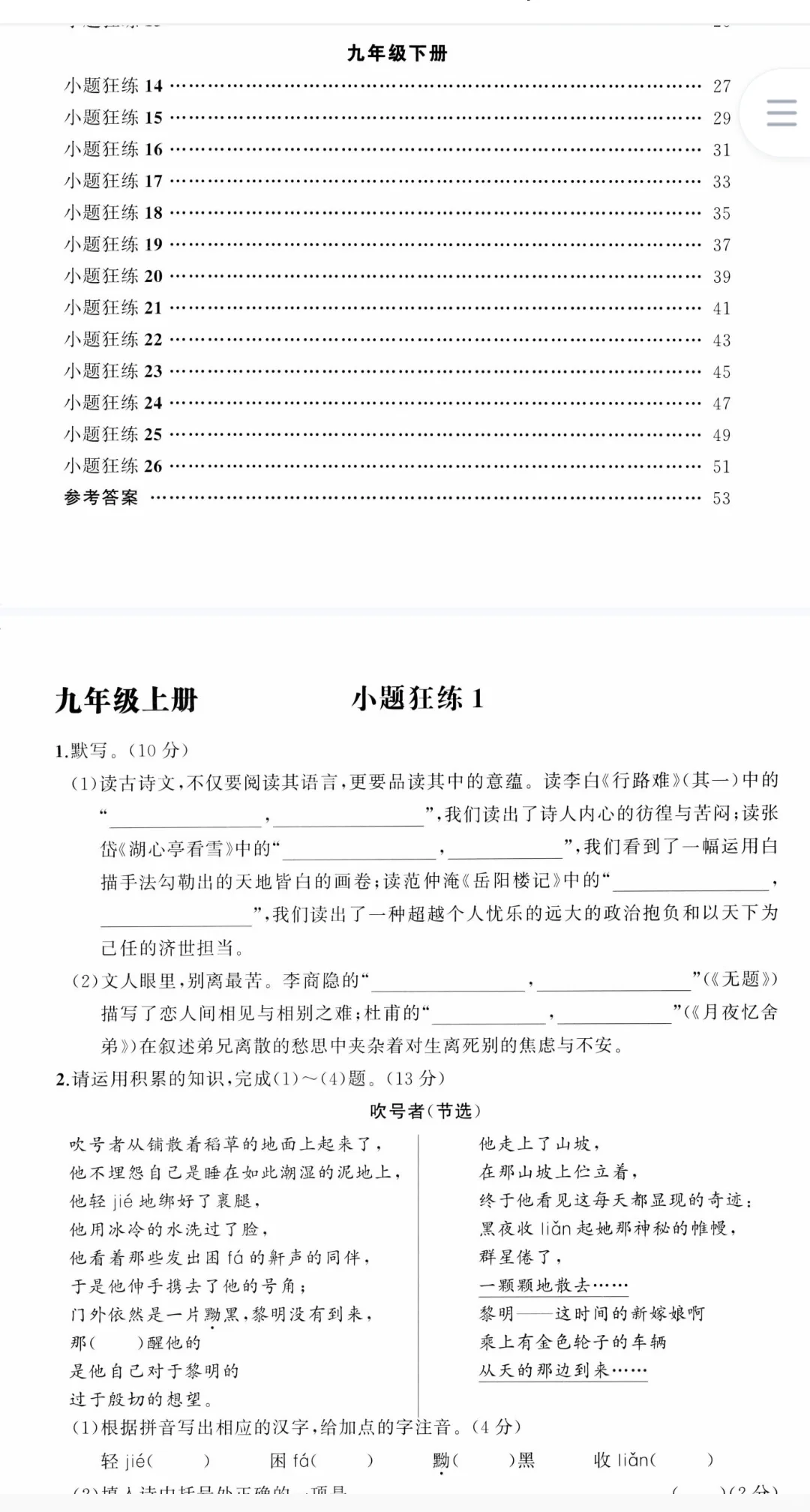 九年级语文花开拓展阅读 2026新版 直击中考 第13张