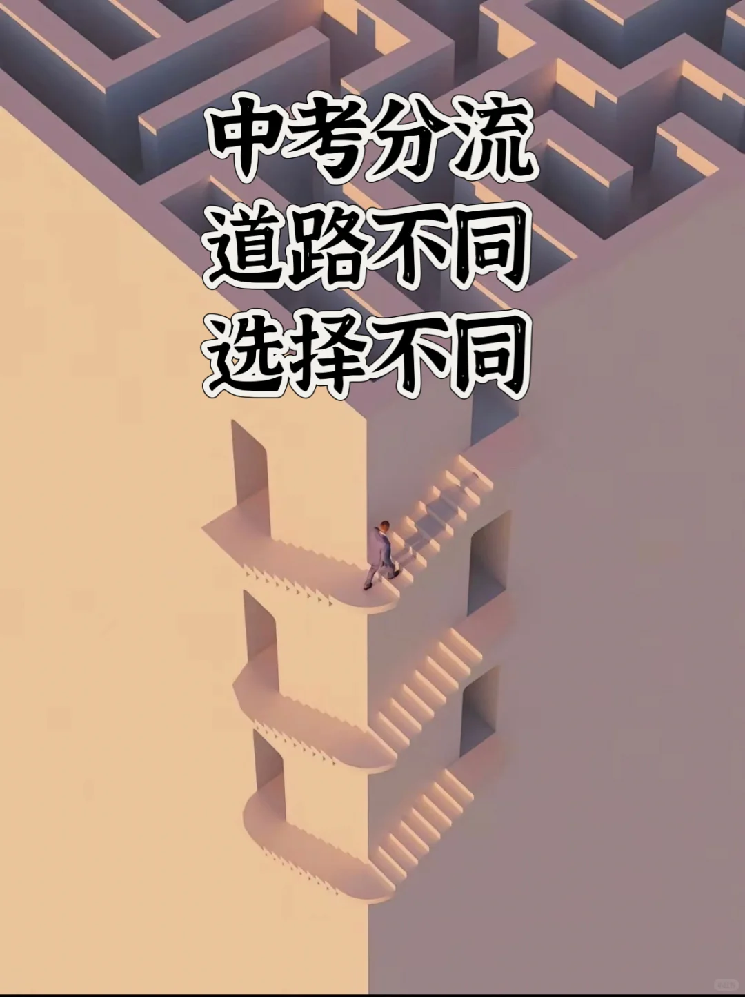 中考分流 第2张