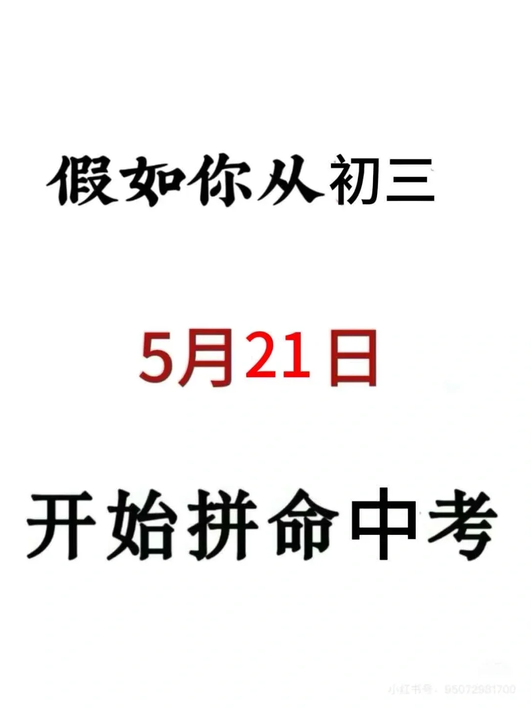 初三生来就带，假如你拼命努力中考加油！ # 第2张