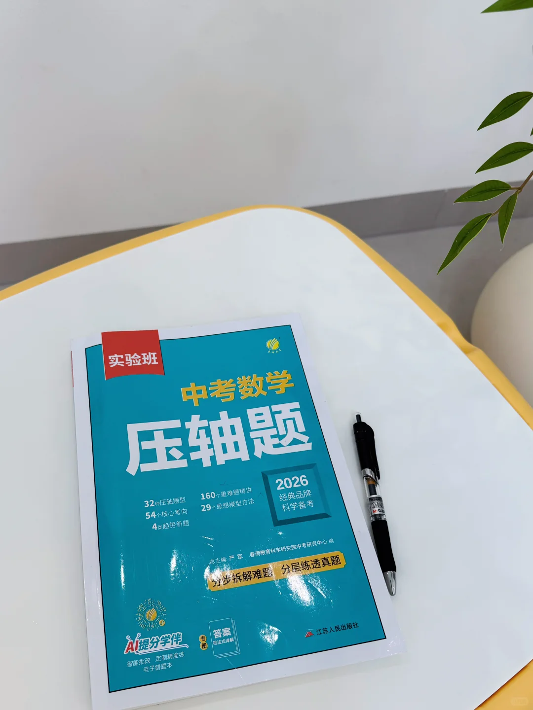 儿子中考冲刺,终于找到靠谱数学教辅了📚 第1张 儿子中考冲刺,终于找到靠谱数学教辅了📚 第1张