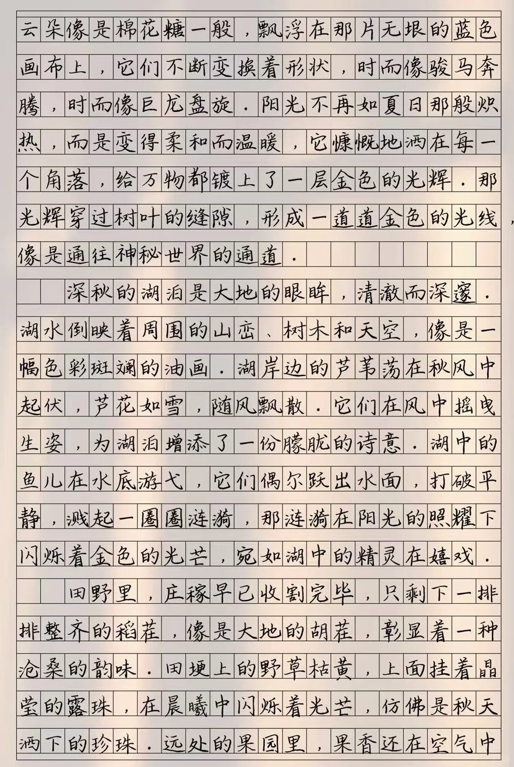 优秀作文《深秋之美》 第3张