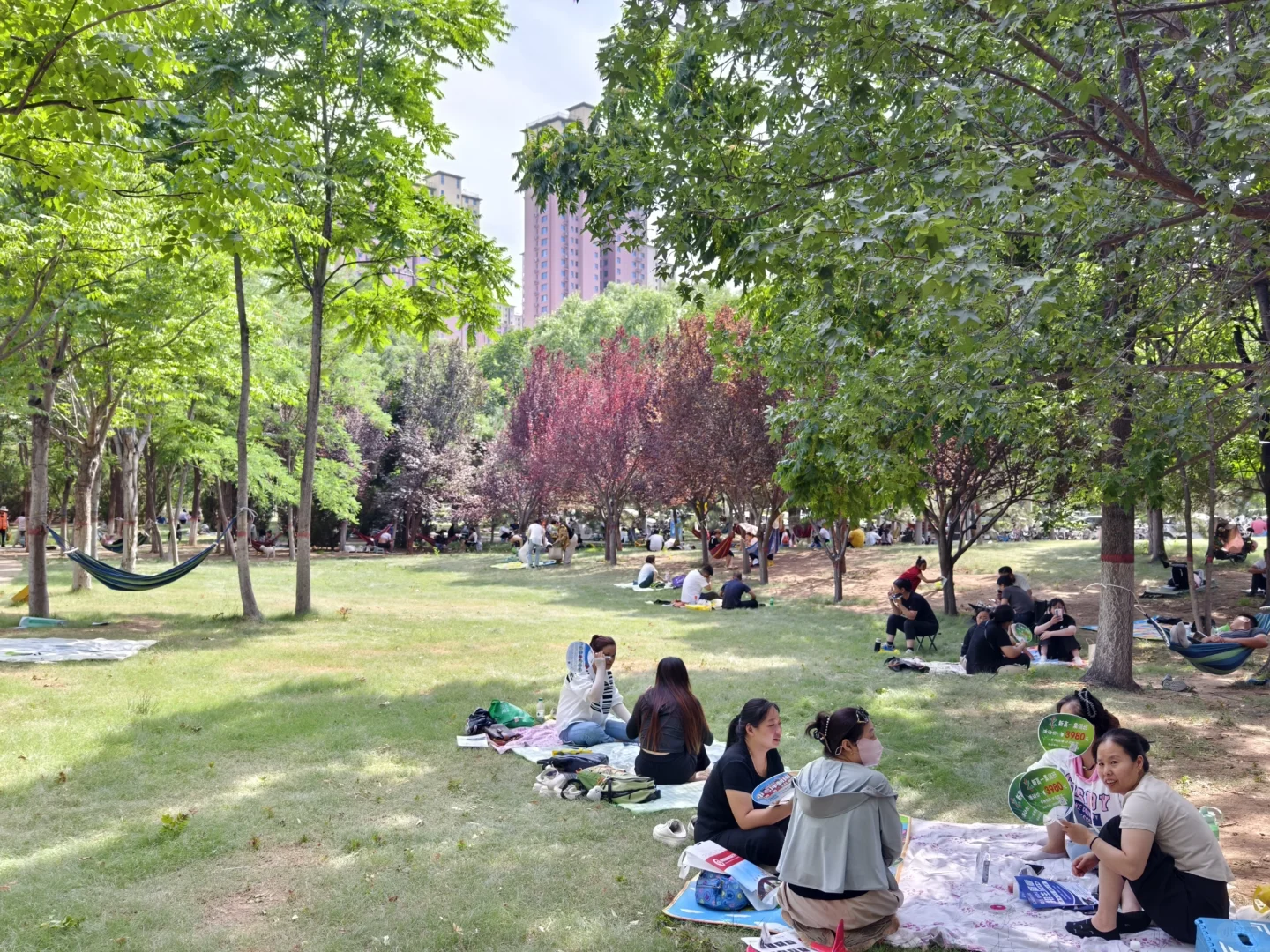 中考邯郸二中考点 第1张