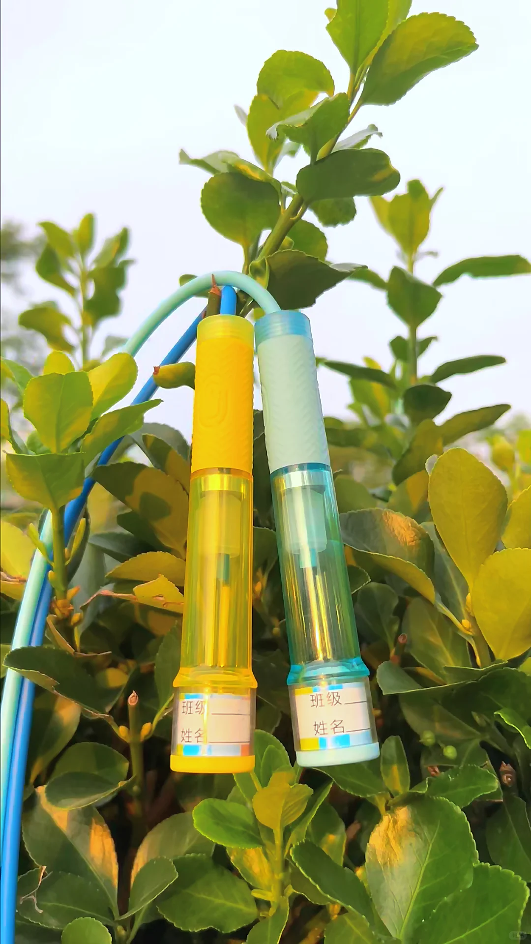 救命！换了8根才找到的“不打卷的跳绳”！ 第1张