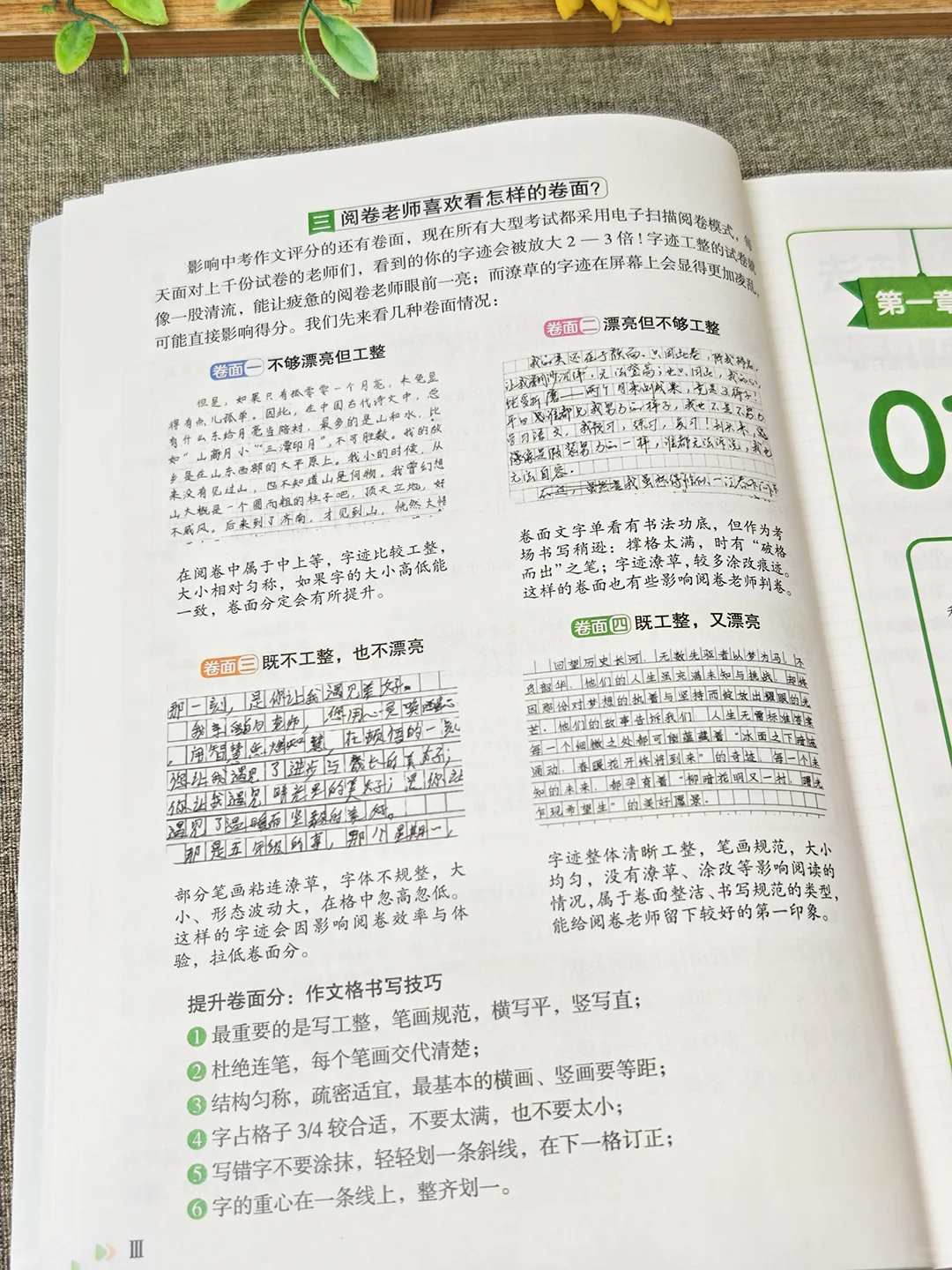 中考阅卷老师编写的作文指导书，你真不看？ 第6张