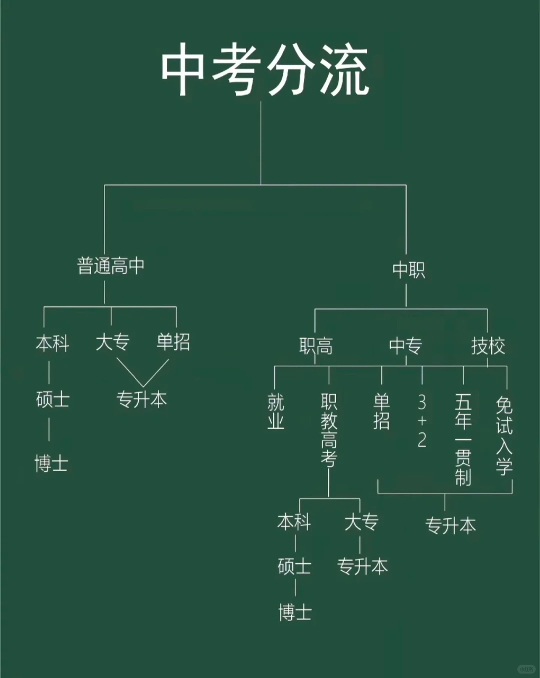 一张图看懂中考分流 第2张 一张图看懂中考分流 第2张