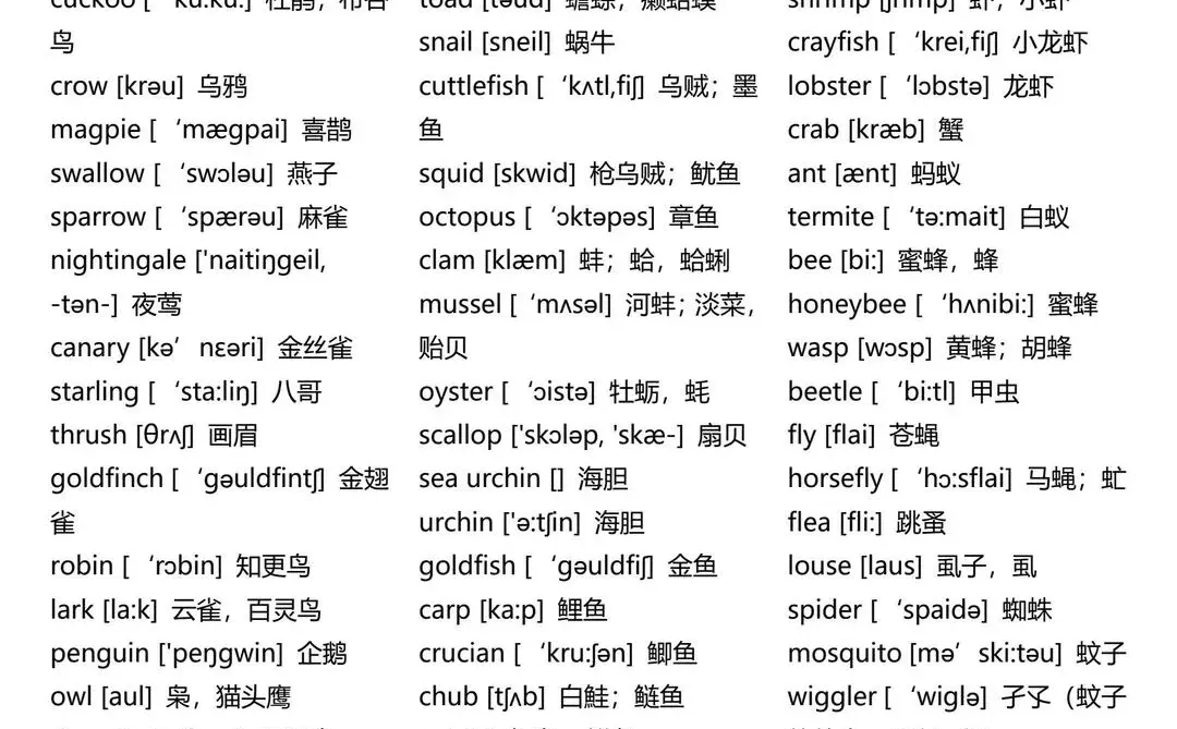 中考英语高频3500词 第1张