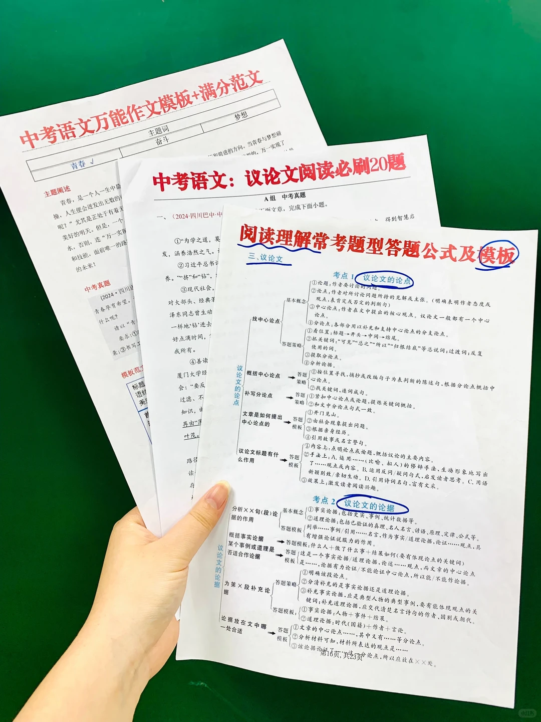 初三语文一轮复习打卡表，逆袭中考有方向 第12张