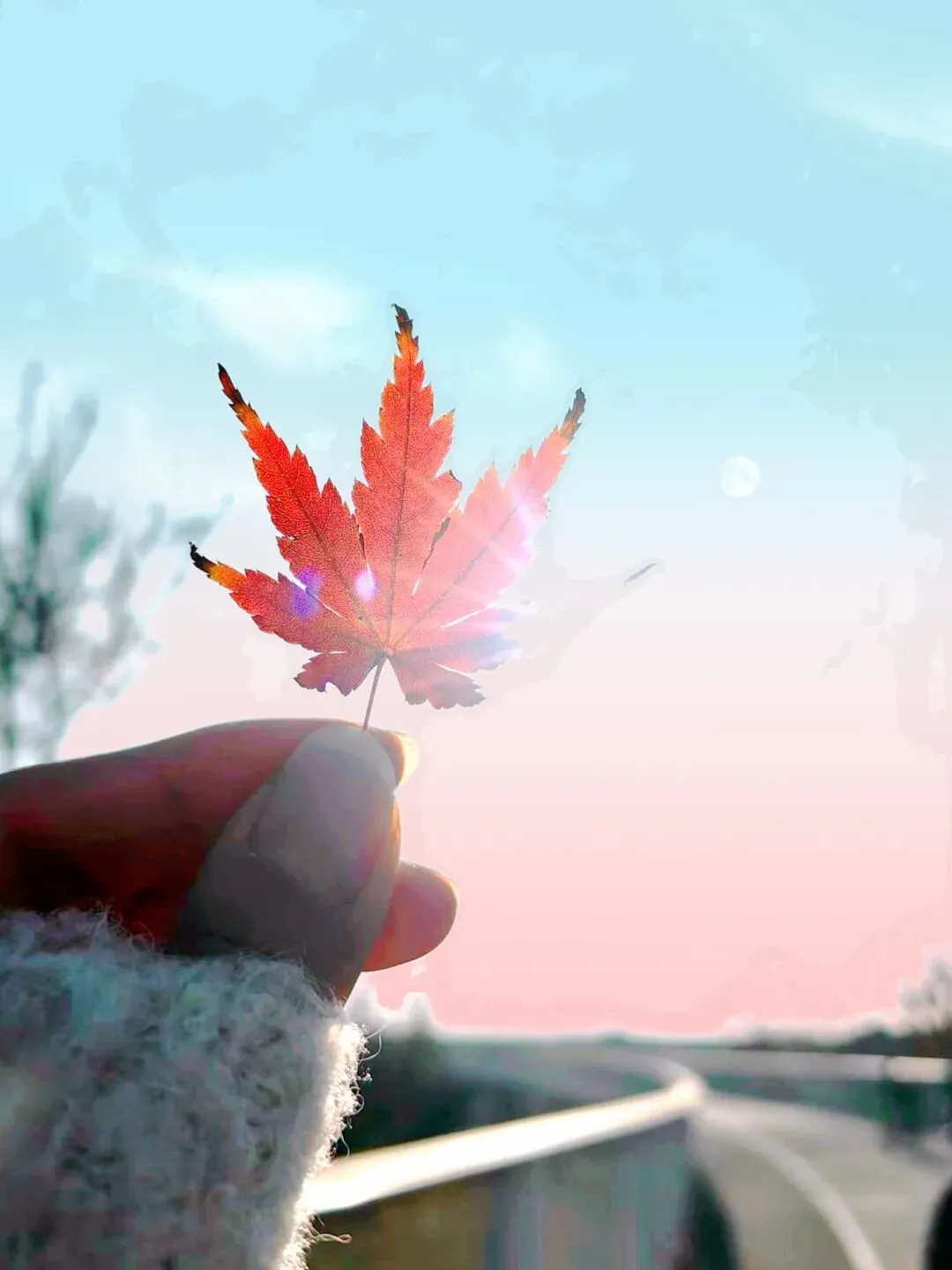 中考作文高分突破 | 《最好的作品》 第9张